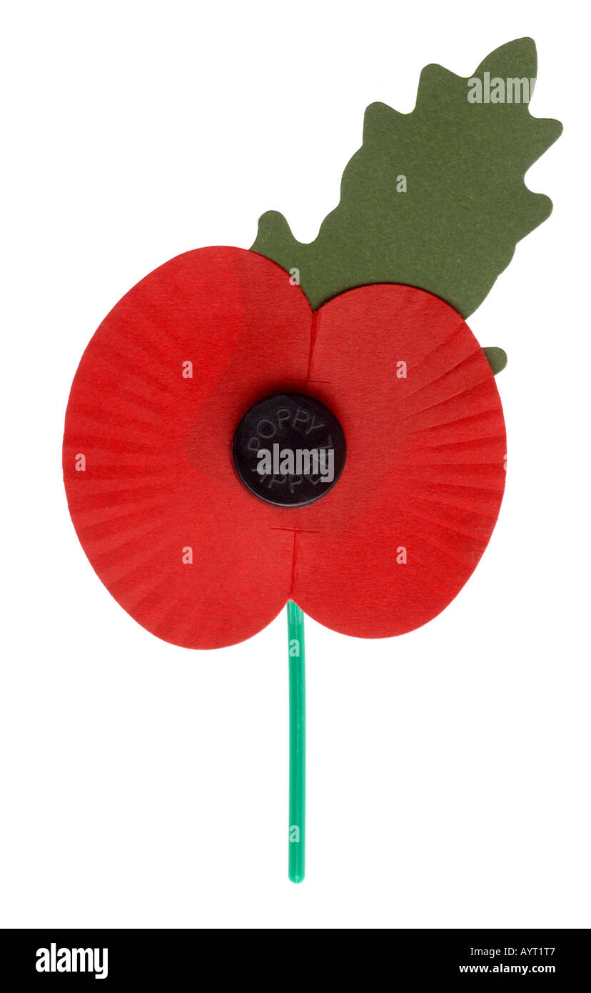 Poppy Appeal, Remembrance Day Poppy, Royal British Legion Poppy Stock Photo