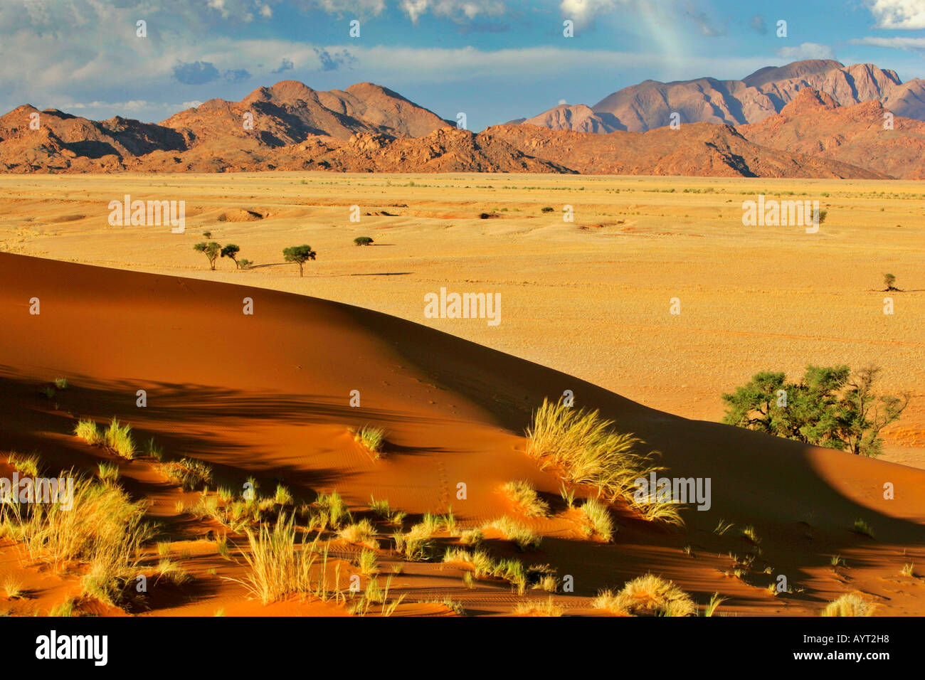 view from Elim dune to the Naukluft mountains Namib Naukluft Park ...