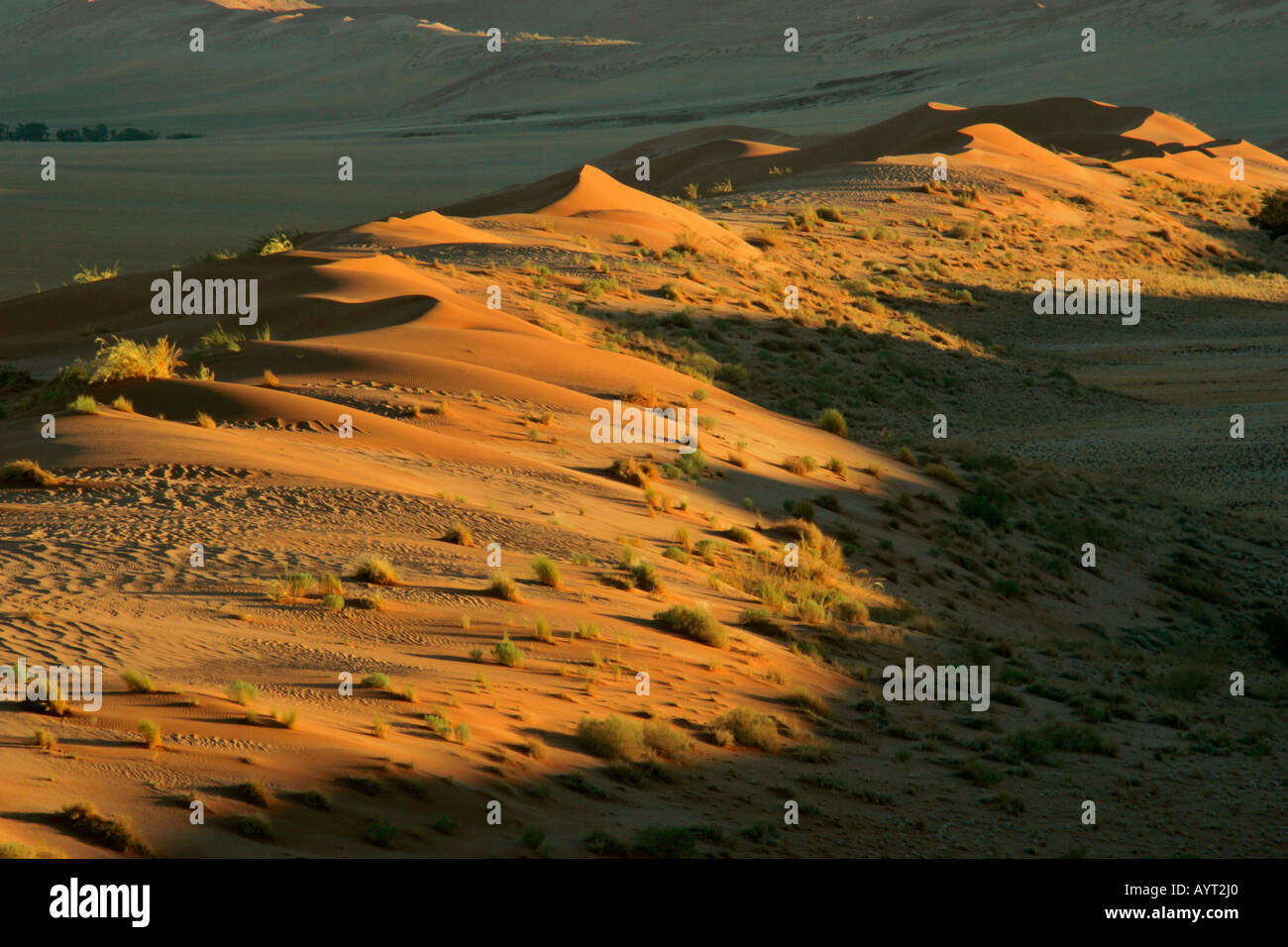 view from Elim dune to the dune Namib Namib desert Namib Naukluft Park Namibia Africa Stock Photo