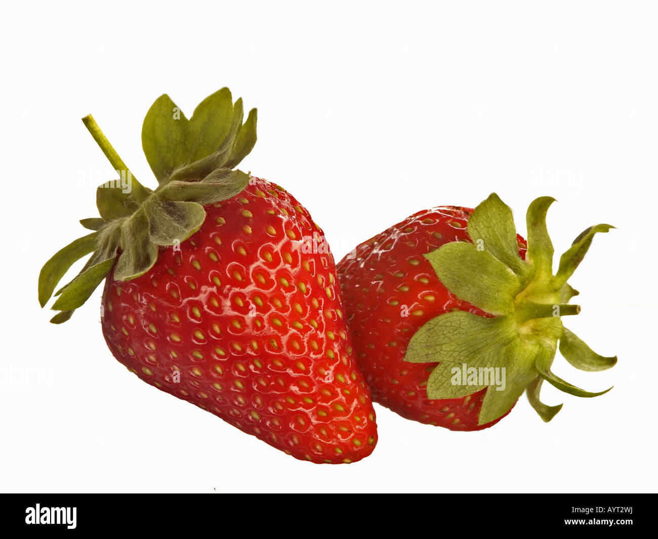 Two strawberries Stock Photo