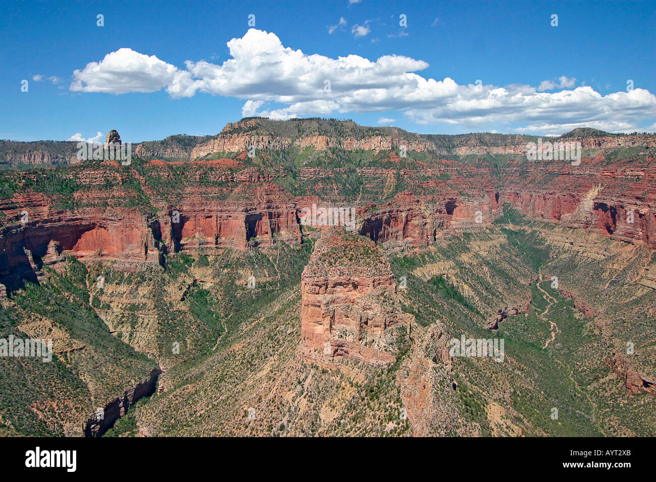 North Rim of Grand Canyon from air Stock Photo Alamy