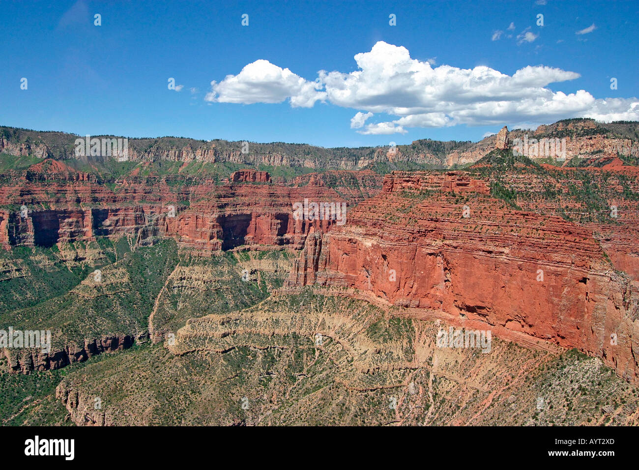North Rim of Grand Canyon from air Stock Photo
