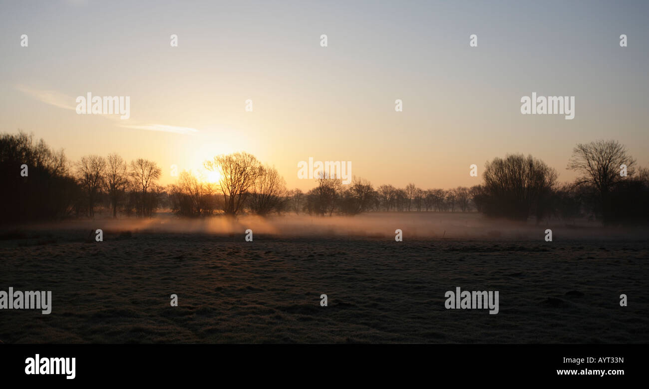 Redgrave and Lopham Fen dawn. Stock Photo