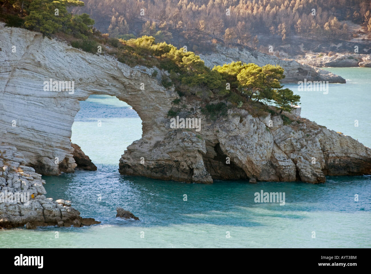 Rock window, coastal cliffs at the very tip of the heel of the Italian "boot, " Vieste, Apulia, Southern Italy Stock Photo