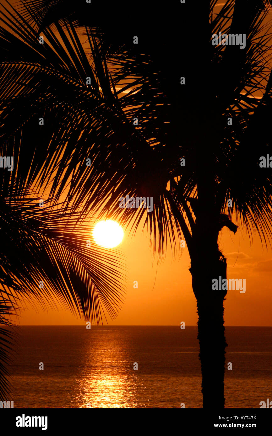 Palm trees sunset maui hawaii hi-res stock photography and images - Alamy