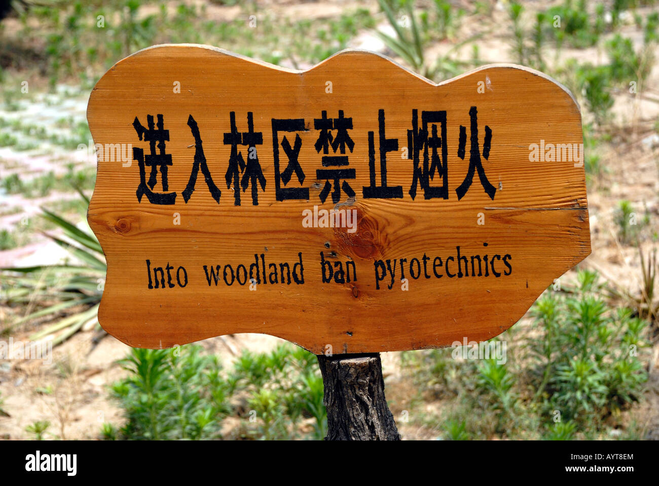 Direction sign at Yellow River Forest Park Into woodland ban pyrotechnics Kaifeng Henan Province China Asia Stock Photo