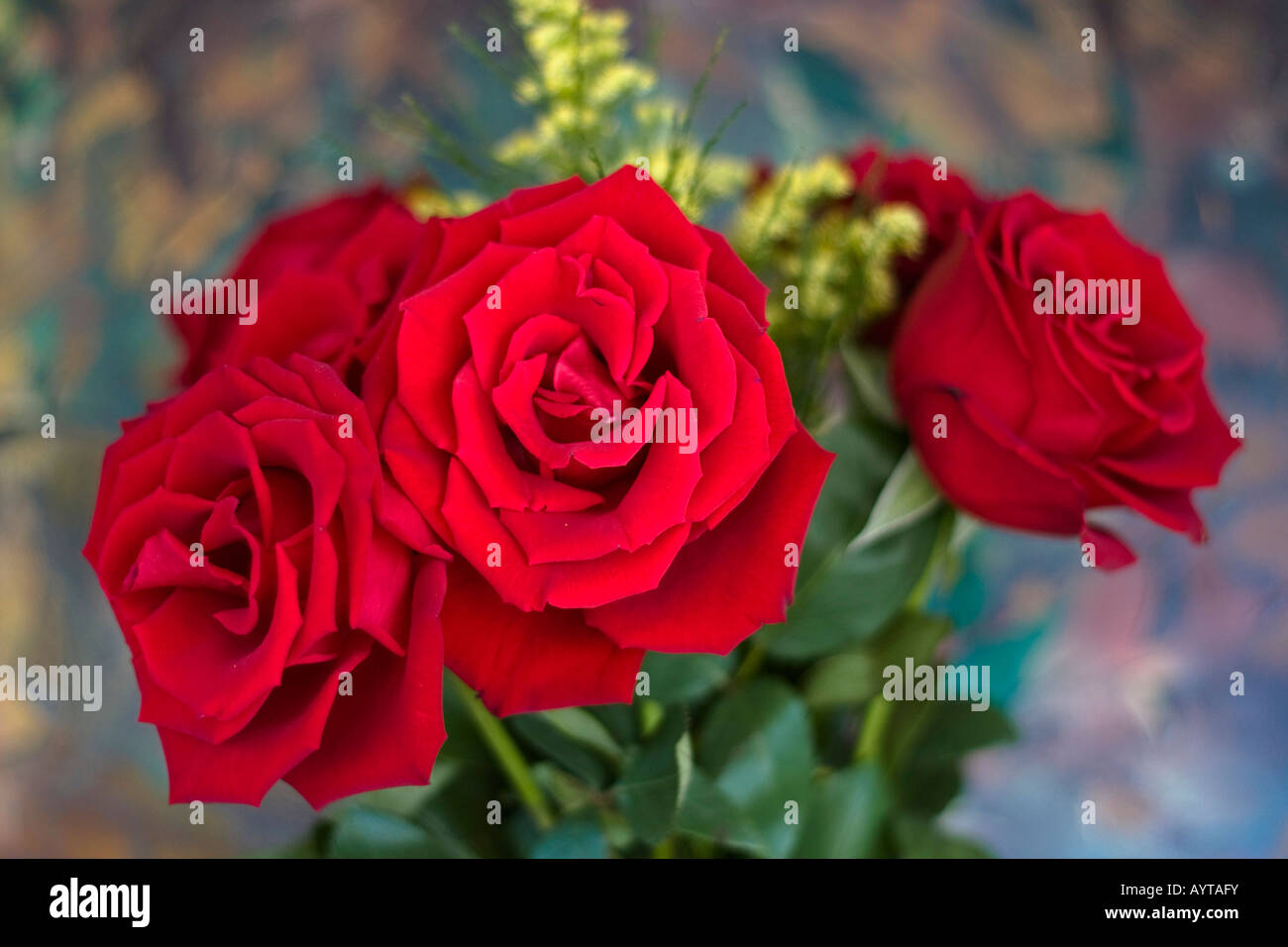 Five hi res hi-res stock photography and images - Alamy
