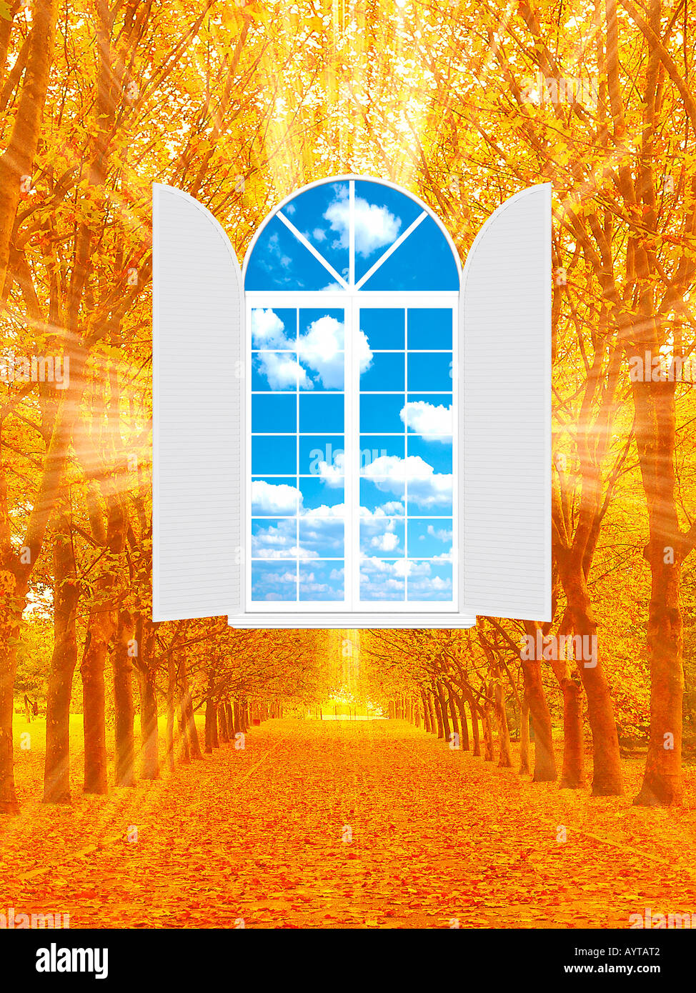 A window into autumn Stock Photo - Alamy