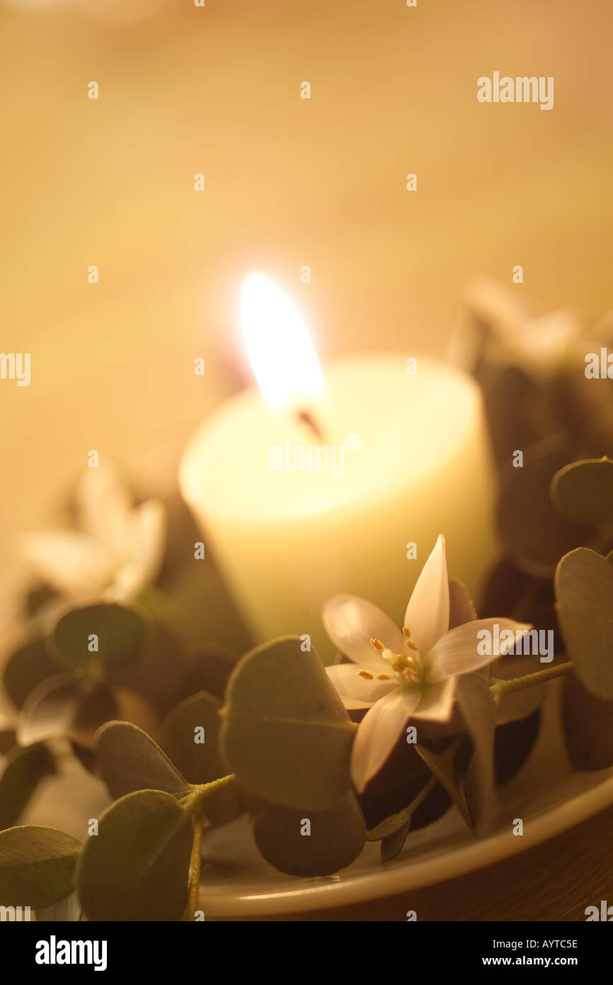 Candle on the plate decorated with flower and leaves Stock Photo