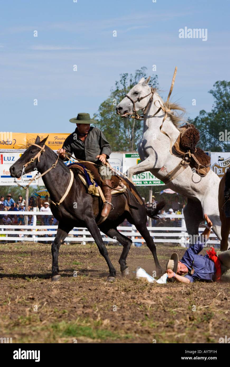rodeo horse Uruguay fiesta gaucho cow-boy cowboy Stock Photo - Alamy
