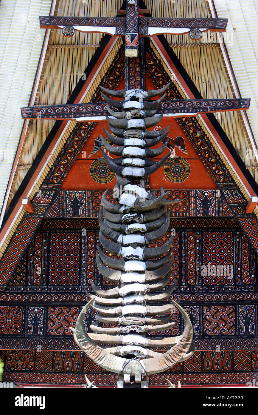 Indonesia: buffalo horns pinned to a traditional house in Torajaland, Sulawesi Stock Photo
