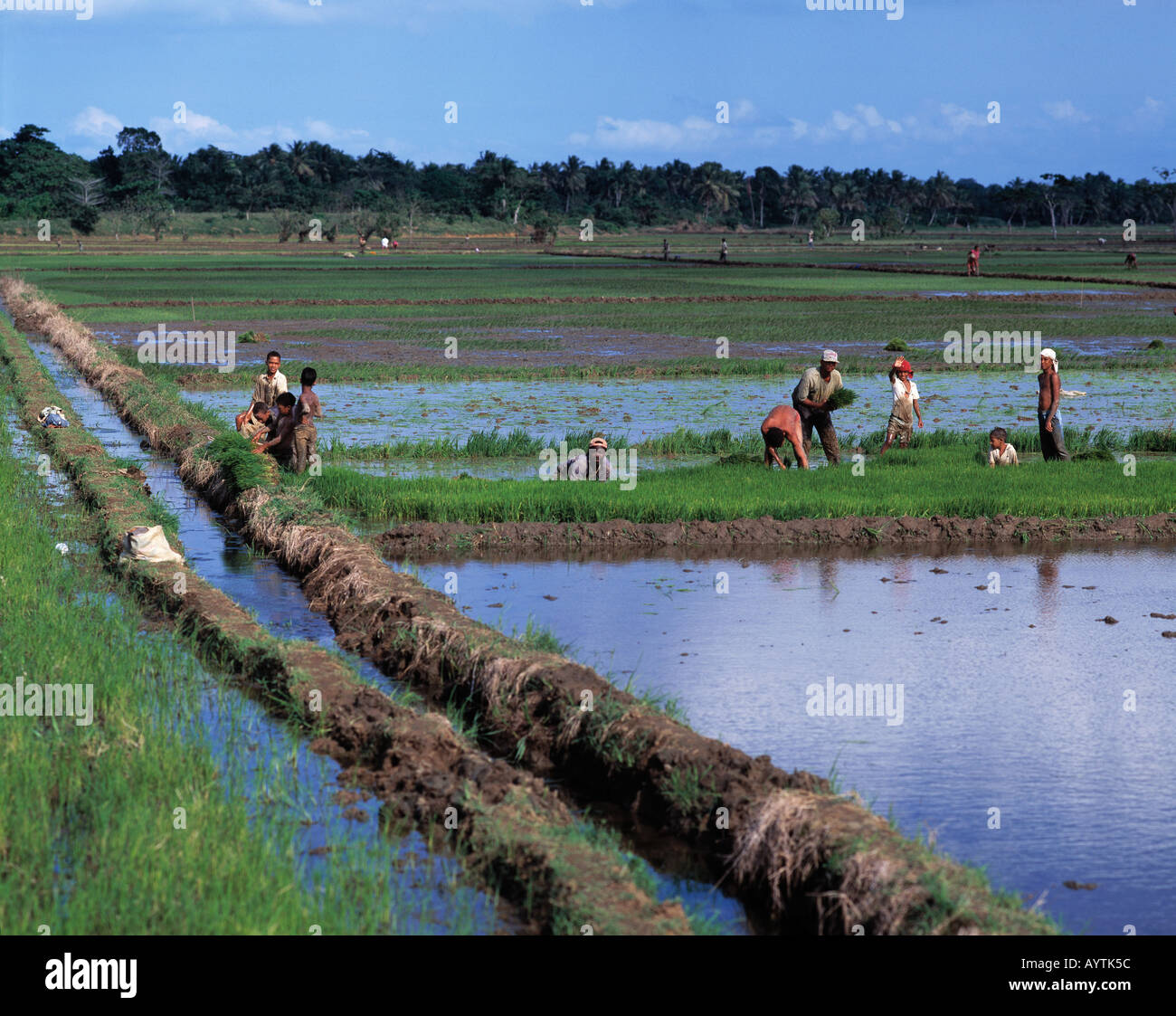 DominicanRepublic #countrysideofDominincanRepublic #nagua #village #w