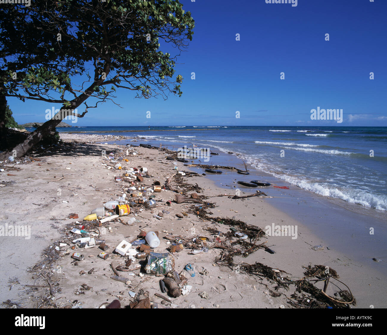 soiled beach, waste, stranded good, environment, pollution, Dominican Stock Photo 5608347 Alamy