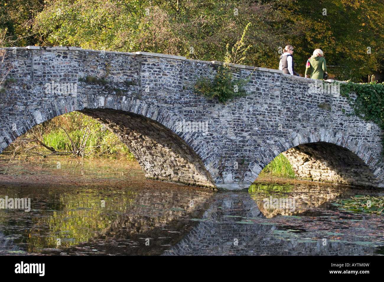 Ancient Stone Bridge at Waverley Abbey Stock Photo Alamy