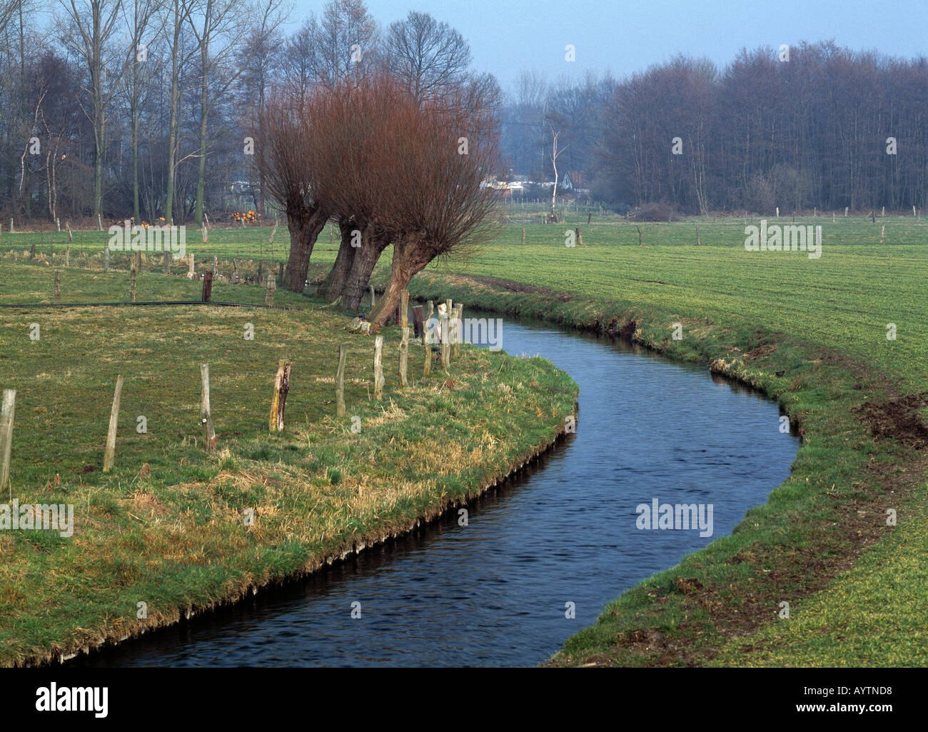 niederrheinische Flusslandschaft im Naturpark Maas-Schwalm-Nette, Niederrhein, Nordrhein-Westfalen Stock Photo