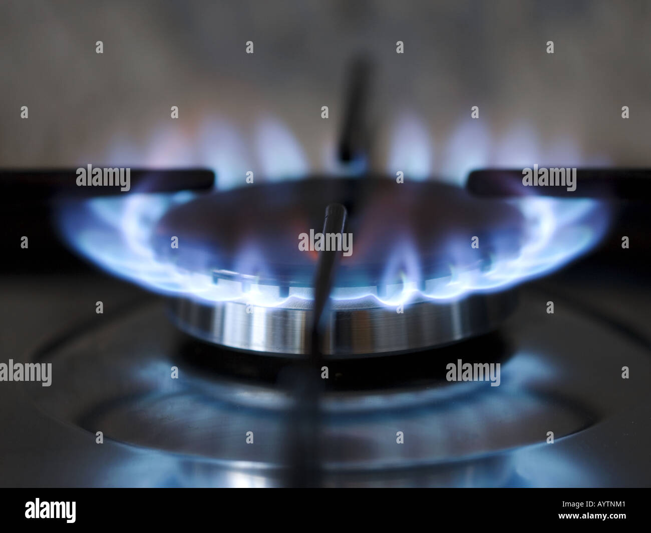 Gas hob with blue flames Stock Photo Alamy