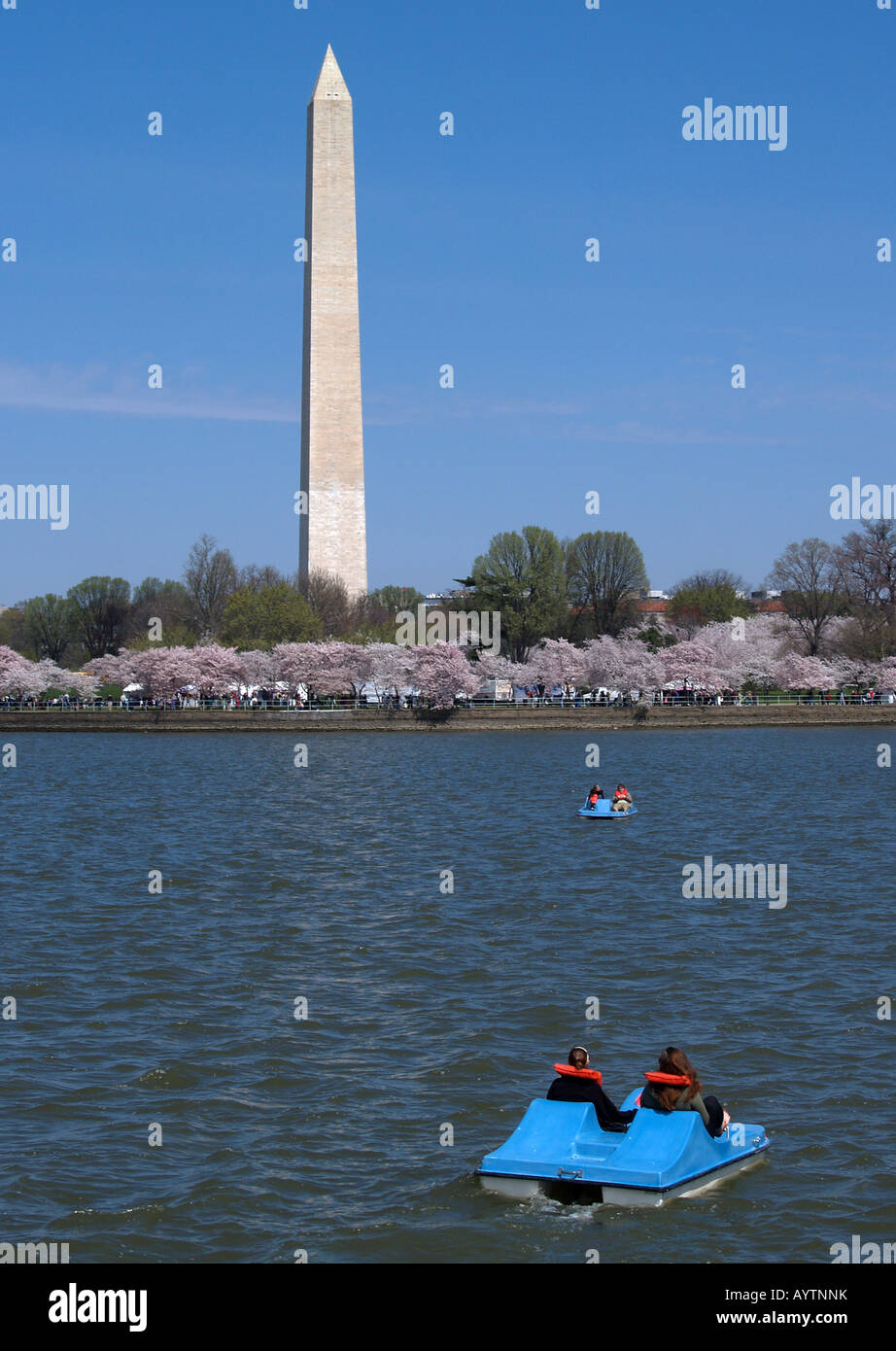 Tourists paddle boating on the Potomac River during Cherry Blossom