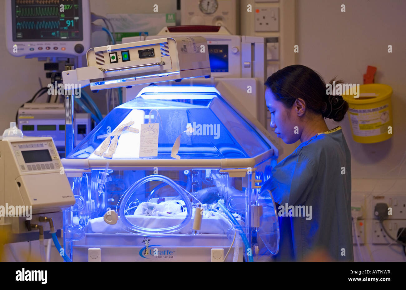 Baby Giraffe Incubator