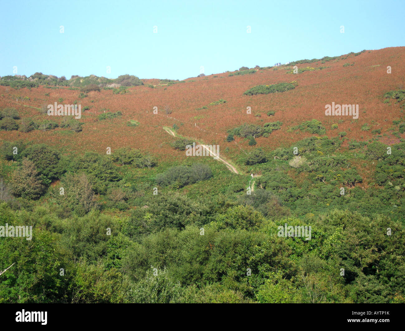 firehills-hi-res-stock-photography-and-images-alamy