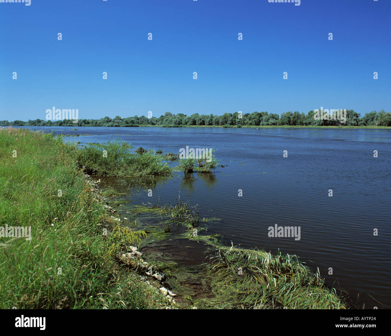 Polnische farben hires stock photography and images Alamy