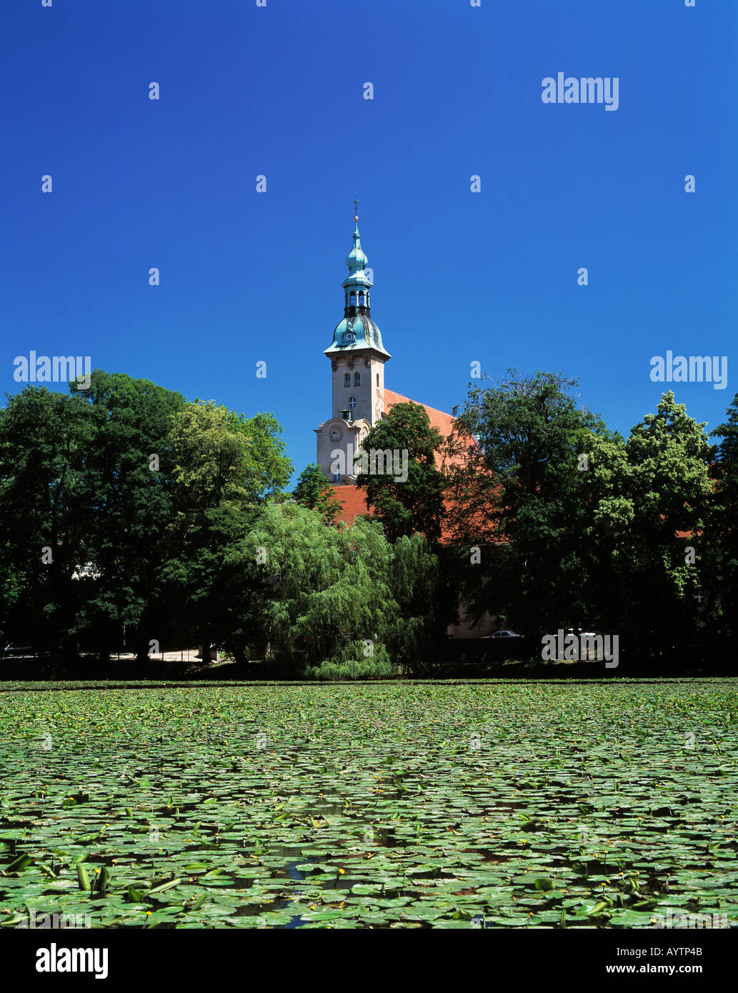 Blick ueber einen Teich mit Seerosen zur Klosterkirche, Neuzelle