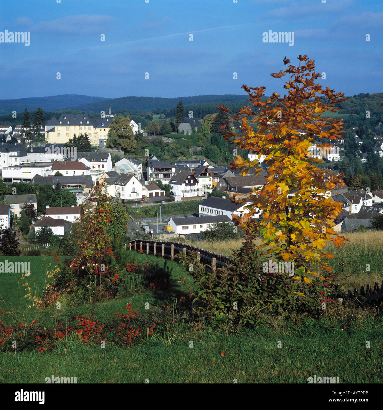 Ortsansicht mit Burg, herbstlicher Baum, Daun, Eifel, Rheinland-Pfalz Stock Photo
