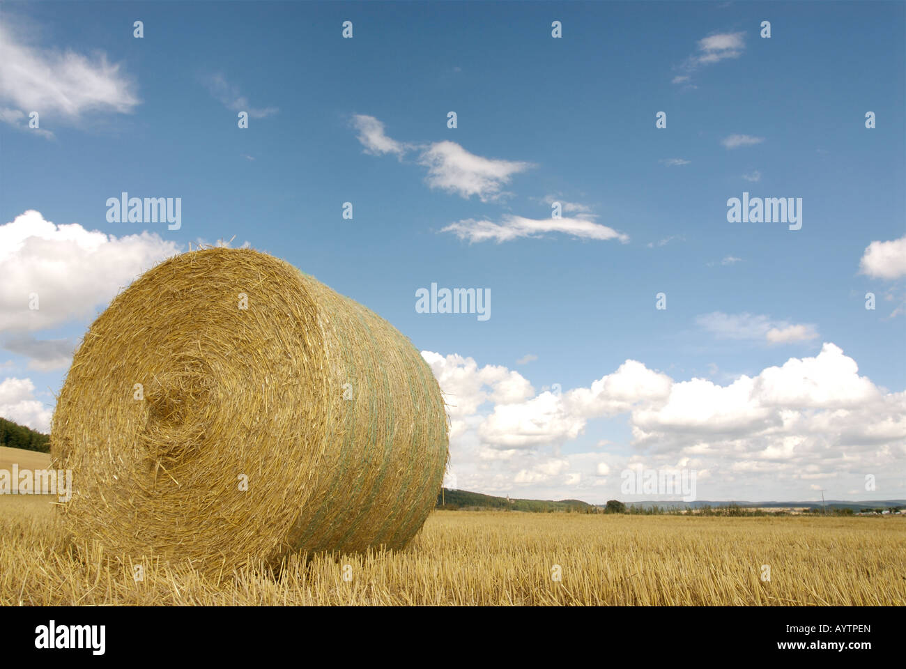 a wheat field with bales of straw in late summer with blue sky Stock ...