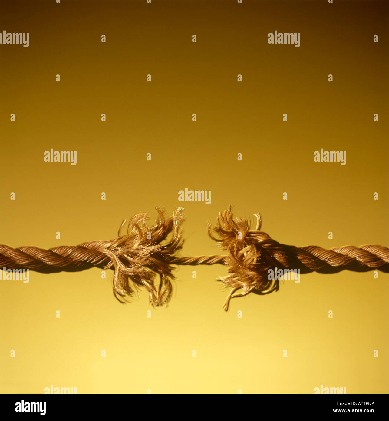 The straw that broke the camels back hires stock photography and