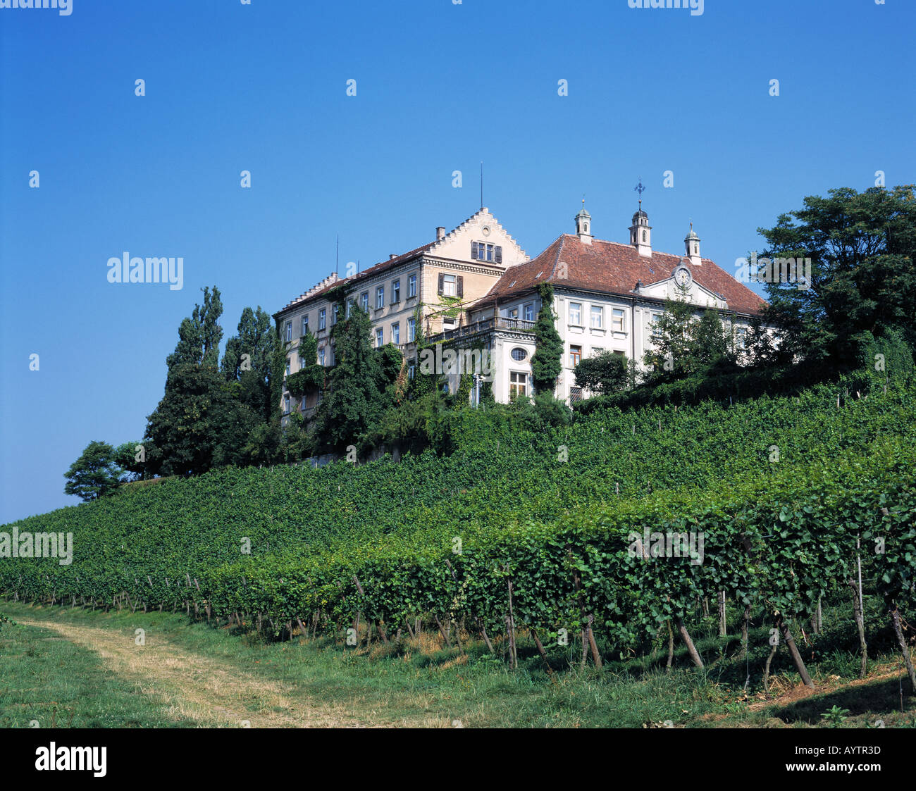 Schloss Kirchberg, Weinberge, Immenstaad, Linzgau, Bodensee, Baden-Wuerttemberg Stock Photo