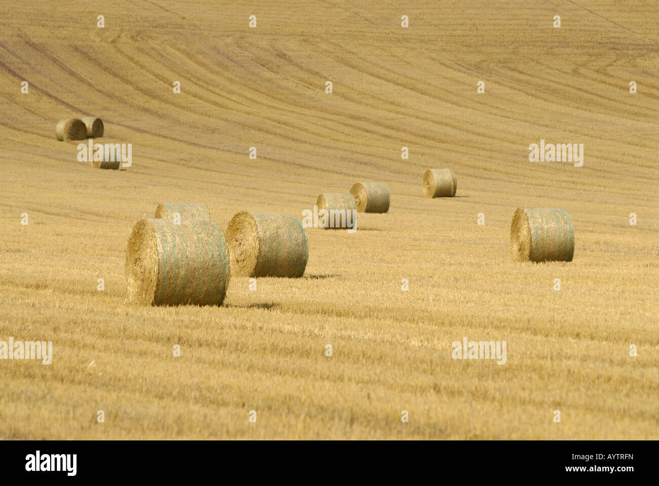 patterns of bales of straw on a wheat field in late summer Stock Photo ...