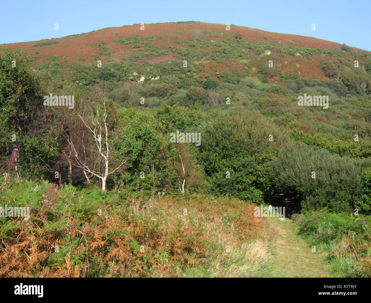 Firehills Hastings Country Park Hastings Sussex England UK Stock Photo