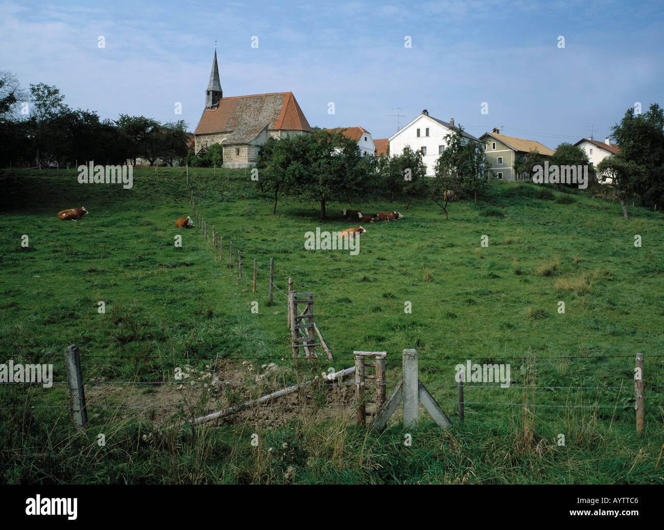 Dorfansicht mit Dorfkirche, Weide, Weidenzaeune, Ering-Pildenau, Niederbayern Stock Photo