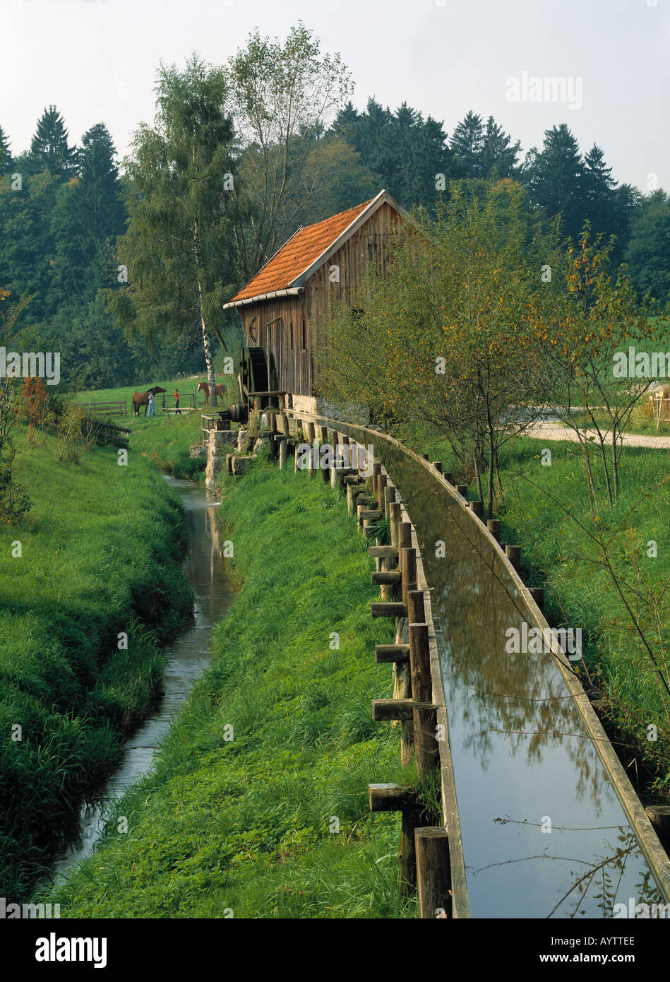 Freilichtmuseum, Bauernhausmuseum, Saegemuehle mit einem Bach, kuenstlicher  Wasserlauf, Amerang, Oberbayern Stock Photo - Alamy