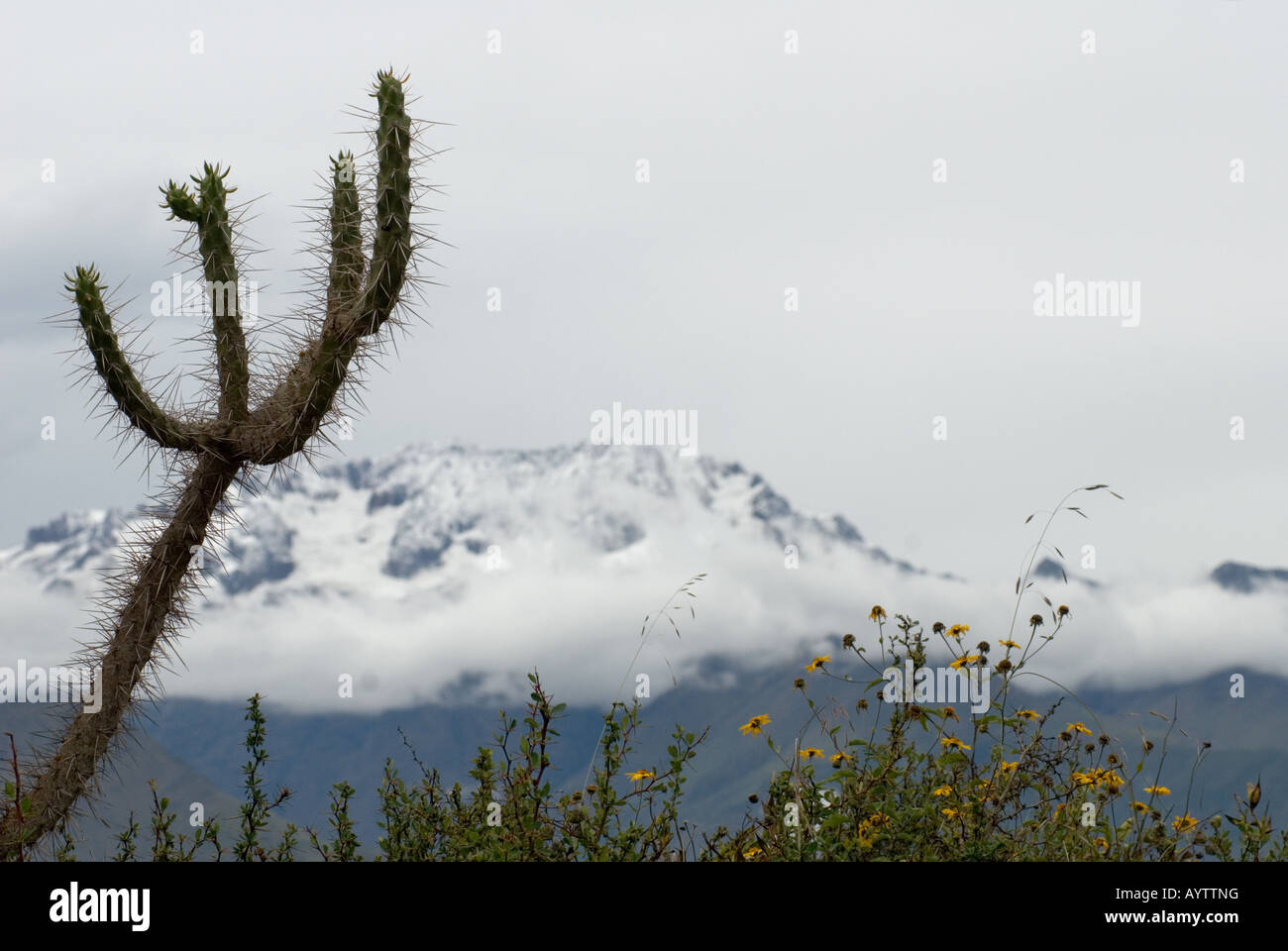 View of the Andes, Peru Stock Photo - Alamy