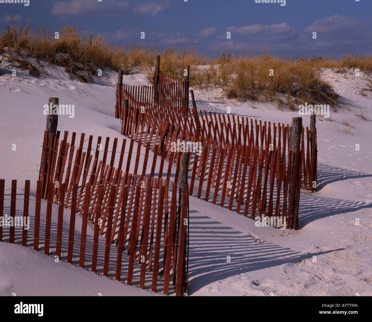 Drift Fence along Sand Dunes Stock Photo