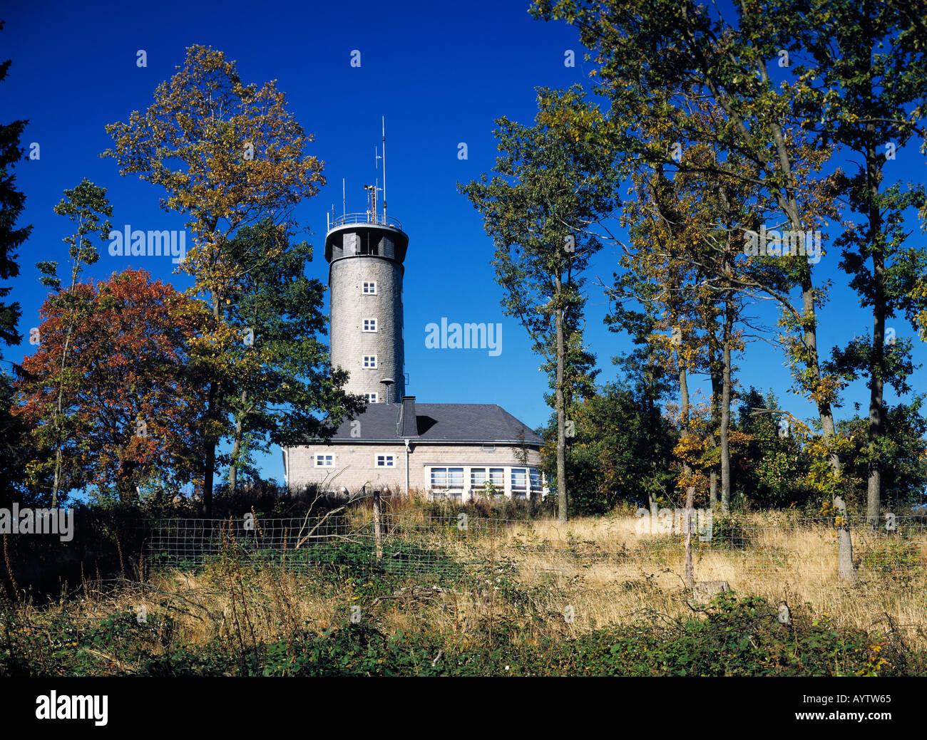 Sauerland Tower Tree Trees High Resolution Stock Photography and Images -  Alamy