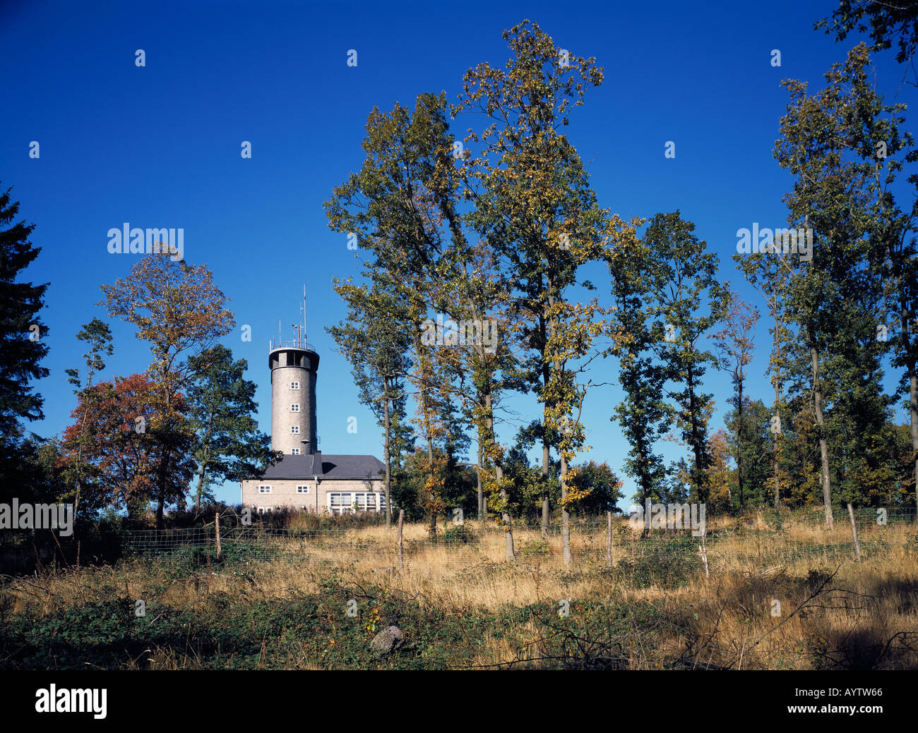 Sauerland Tower Tree Trees High Resolution Stock Photography and Images -  Alamy