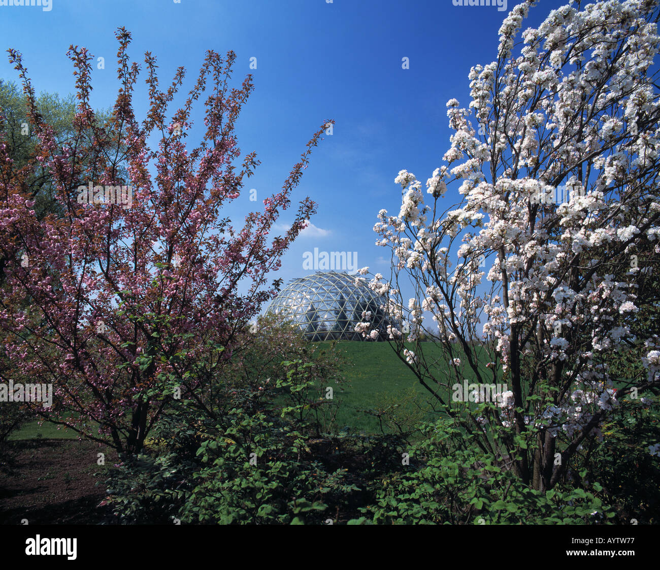 Botanischer Garten der Universitaet, Gewaechshauskuppel, Duesseldorf