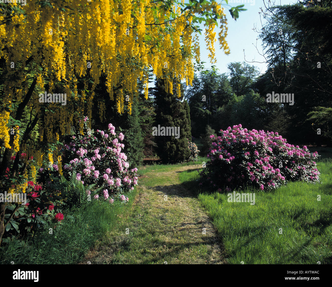 Schlosspark von Wasserschloss Heltorf im Fruehling, Duesseldorf-Angermund,  Rhein, Nordrhein-Westfalen Stock Photo - Alamy