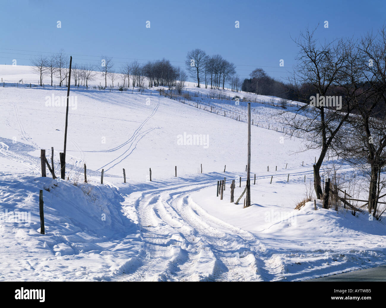 verschneite Winterlandschaft, verschneiter Fahrweg, Spuren im Schnee, Schmallenberg-Werpe, Naturpark Rothaargebirge, Sauerland, Nordrhein-Westfalen Stock Photo