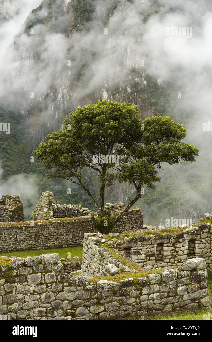 Machu Picchu Peru Stock Photo - Alamy