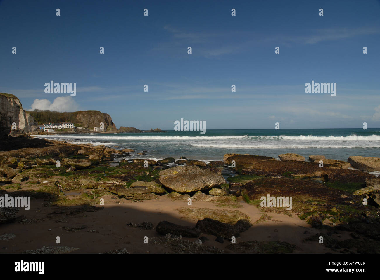 From White Park Bay Stock Photo Alamy