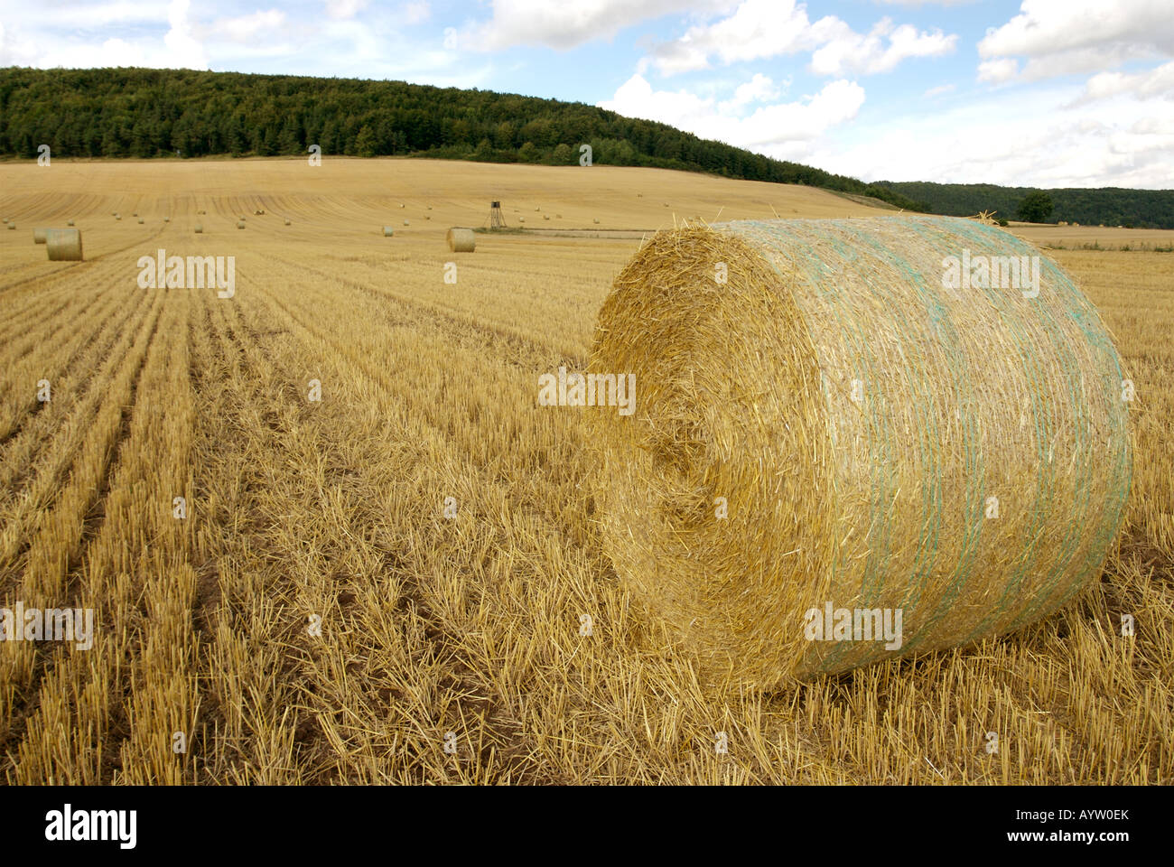 a wheat field with bales of straw in late summer with blue sky Stock ...