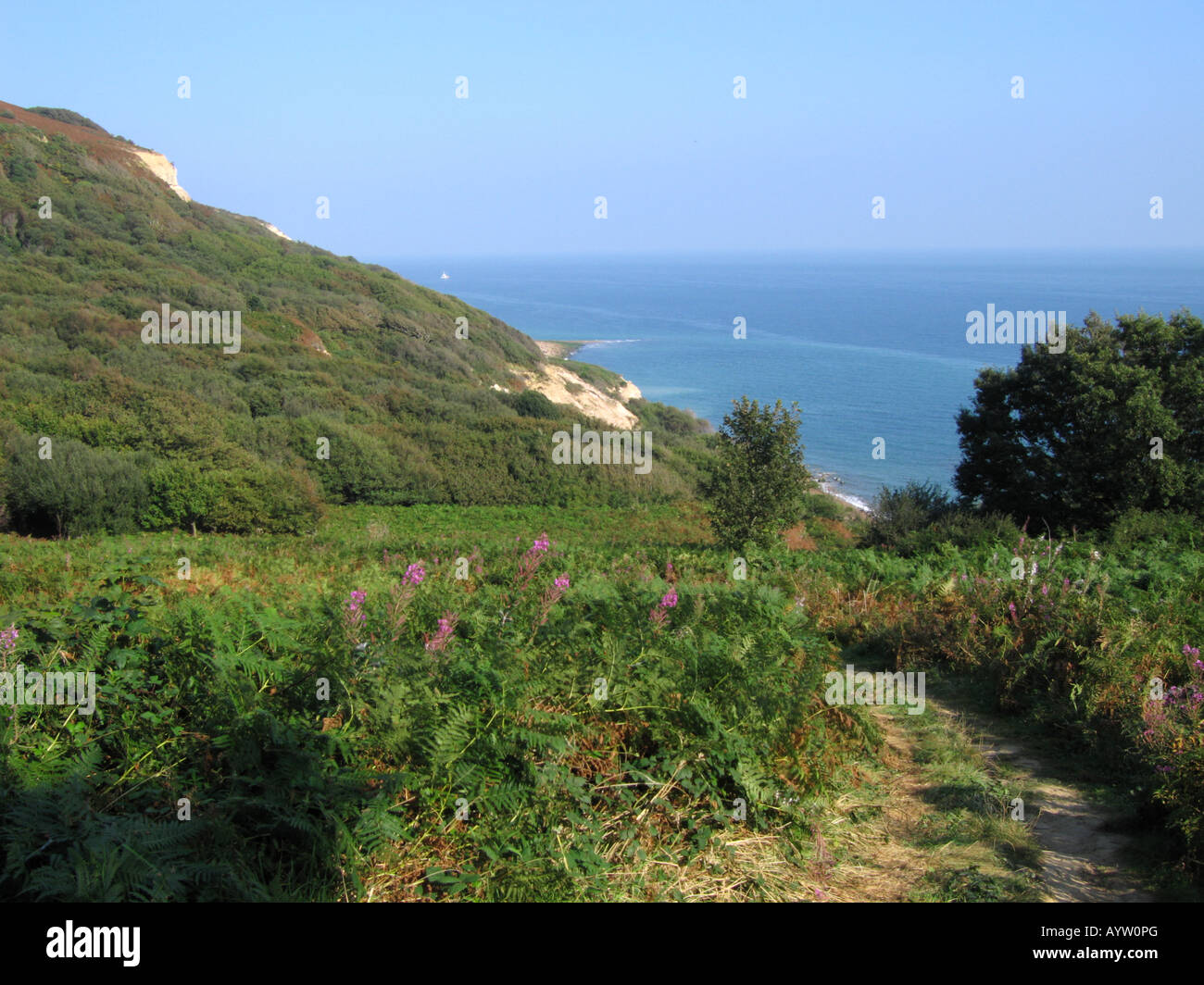 firehills-hastings-country-park-hastings-sussex-england-uk-stock-photo