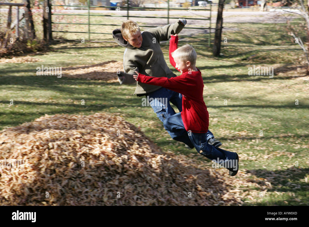 two young boys, about to land in a big pile of leaves, oct 2004 Stock Photo  - Alamy
