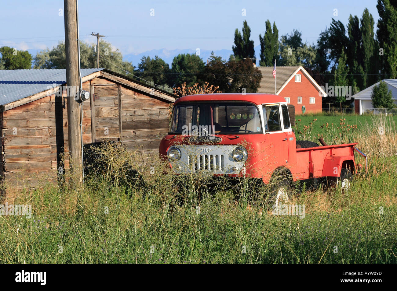 50's vintage jeep truck parked near old shed in weed field Stock Photo