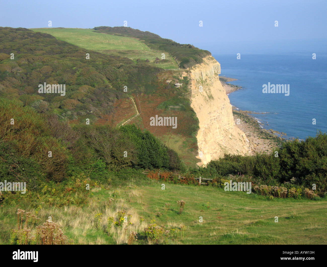 Hastings Country Park Hastings Sussex England UK Stock Photo Alamy