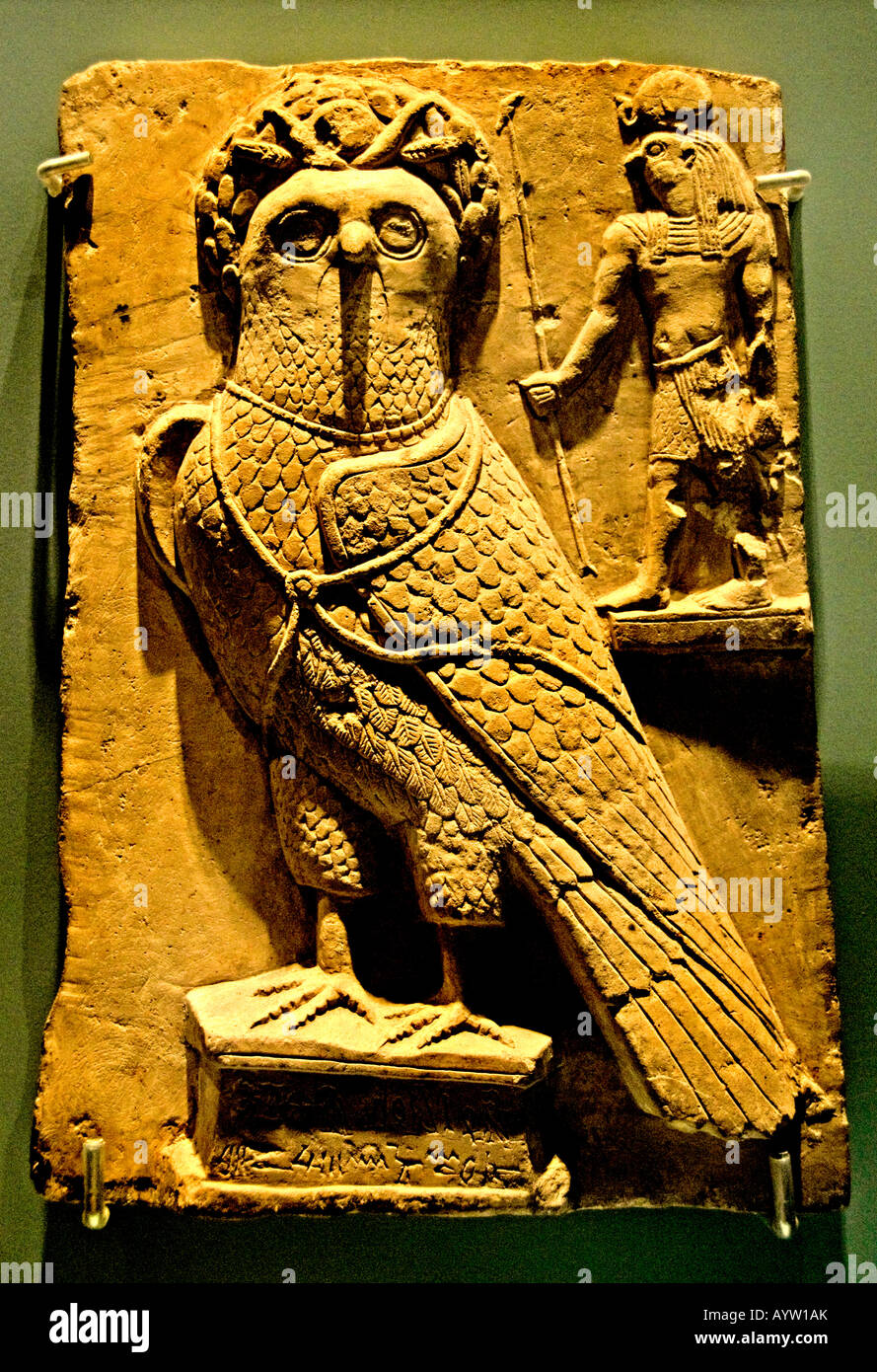 Votive stela for a sacred falcon egypt egyptian cilivization Stock Photo Alamy