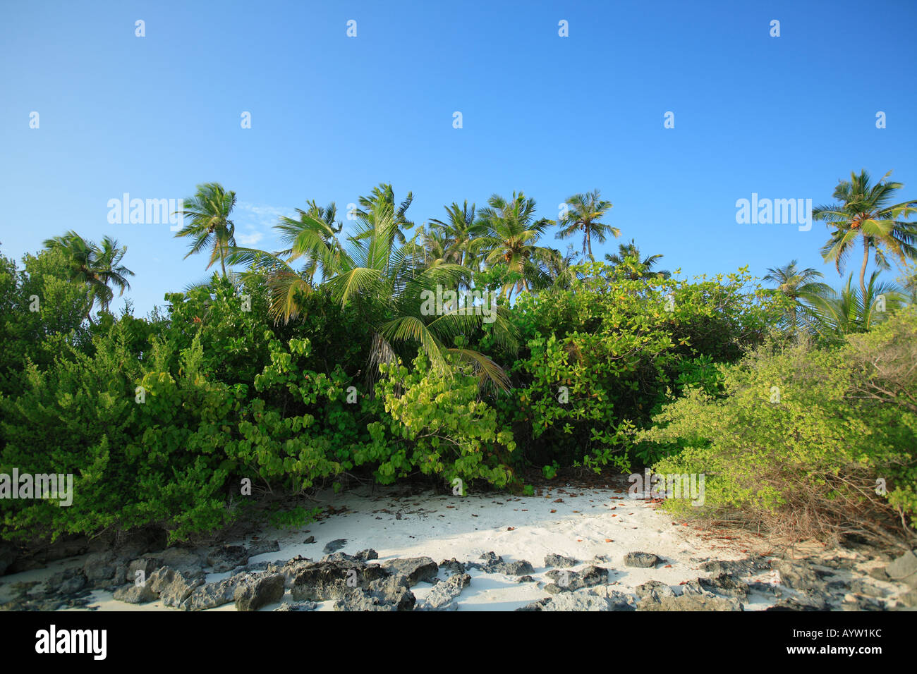 Maldives, Indian ocean Stock Photo - Alamy
