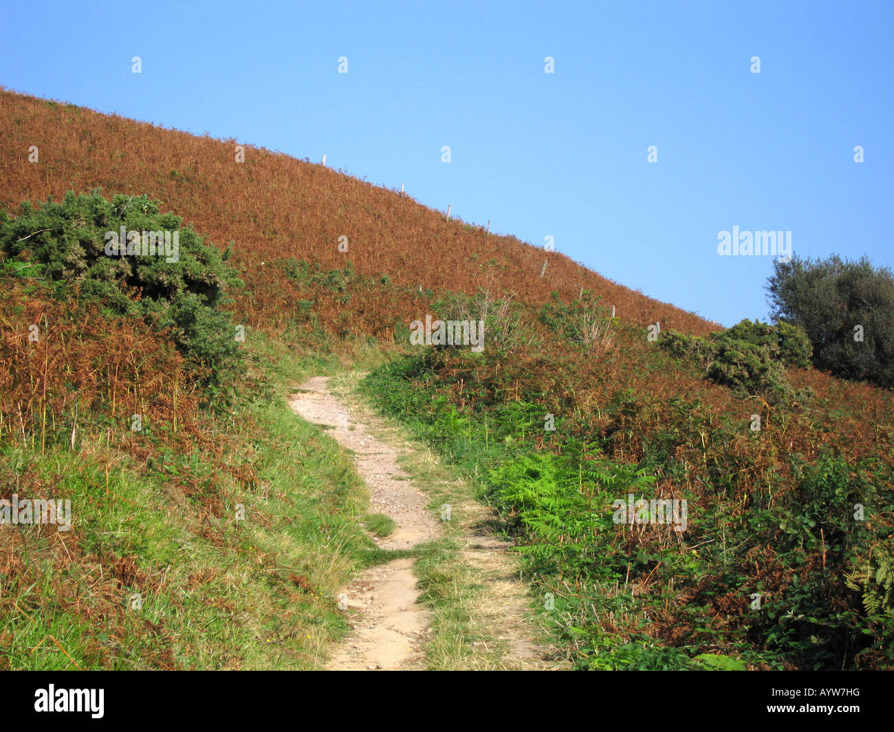 firehills-hastings-country-park-uk-hi-res-stock-photography-and-images